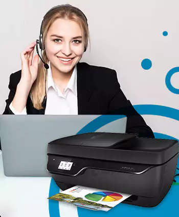 HP Wireless Printer Offline